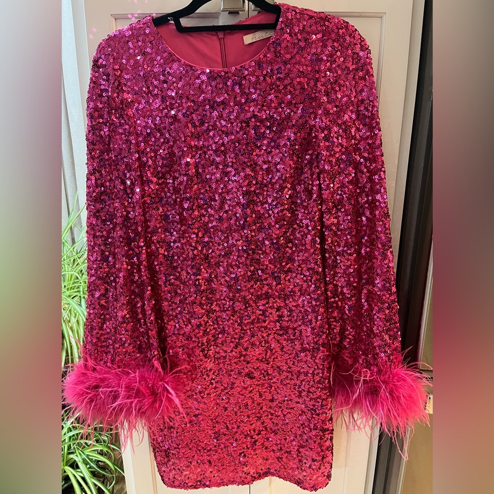 Anthropologie Fuchsia Sequin Dress with Feather Accents